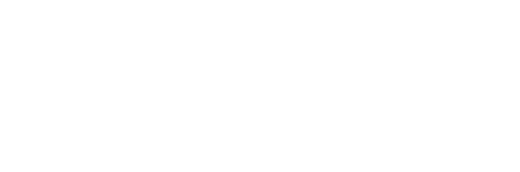 Blue Jean Business Solutions